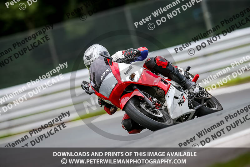 PJ Motorsport 2019;anglesey;brands hatch;cadwell park;croft;donington park;enduro digital images;event digital images;eventdigitalimages;mallory;no limits;oulton park;peter wileman photography;racing digital images;silverstone;snetterton;trackday digital images;trackday photos;vmcc banbury run;welsh 2 day enduro